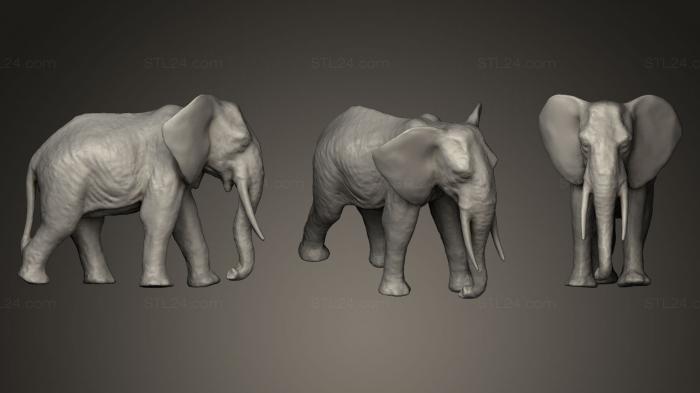 Animal figurines (Elephant15, STKJ_0260) 3D models for cnc